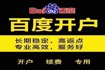SEO与百度广告的结合：双管齐下的推广案例